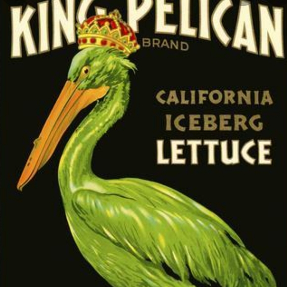 Meet your Posher, Rosey - Picture 1 of 1